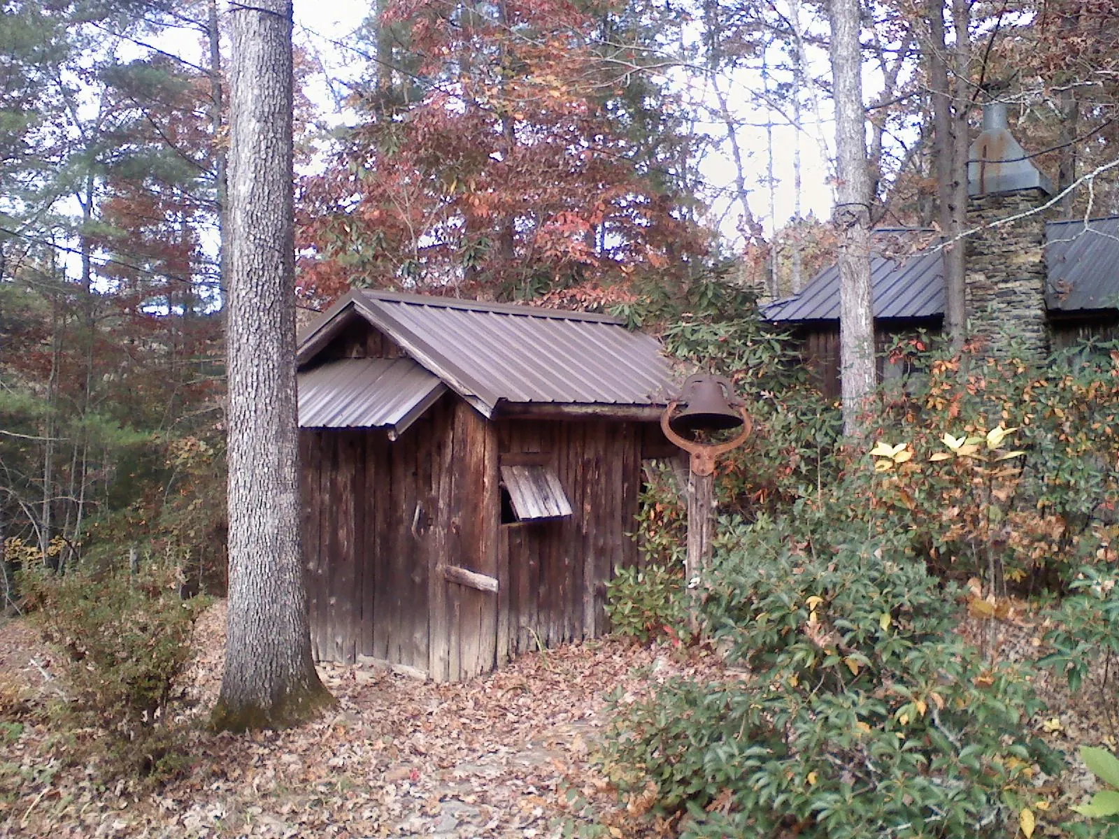 Small metal roof on a rough sawn shed in the woods in Terra Ceia